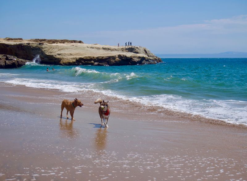 Del Mar Dog Beach (North Beach), Del Mar