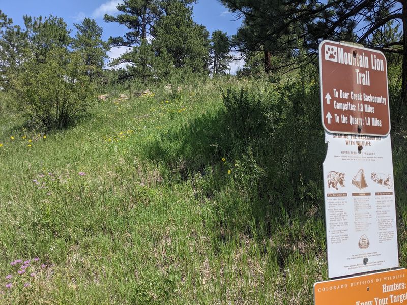 Mountain Lion Trail, Golden Gate Canyon State Park