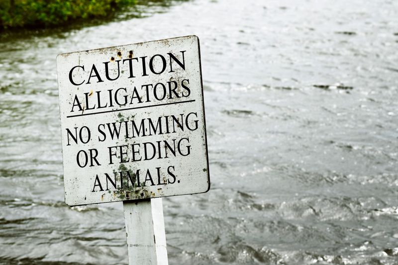 Not Every Pretty Lake Is Safe for a Swim