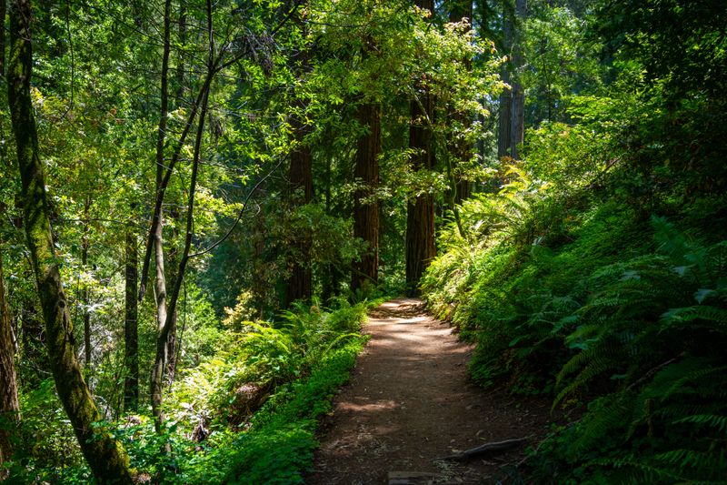 Environmental Campsites Follow Their Own Playbook