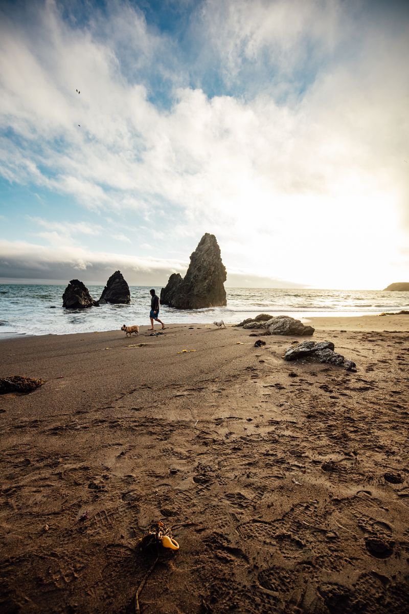 Muir Beach, Marin County