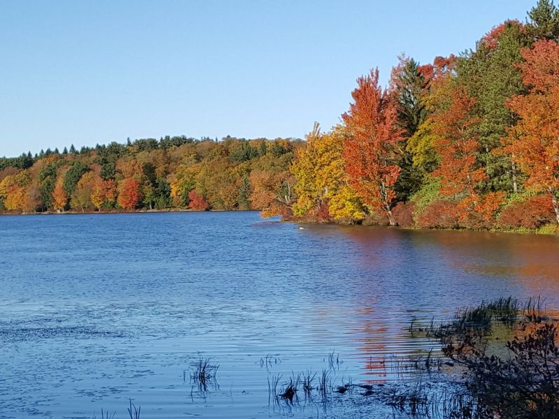 Promised Land State Park Campgrounds