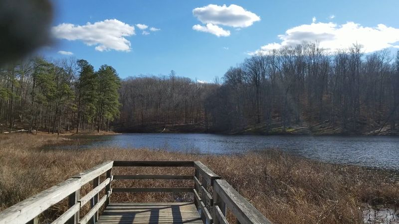 Circle Beaver Lake at Pocahontas State Park