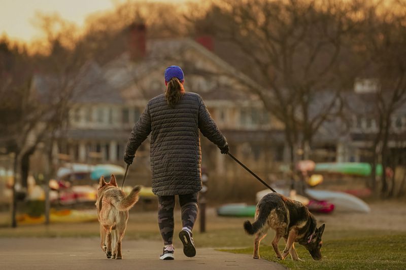 State Parks Have Their Own Leash Expectations