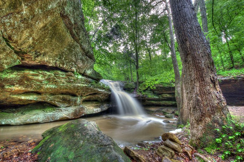 Pennyrile Forest State Resort Park