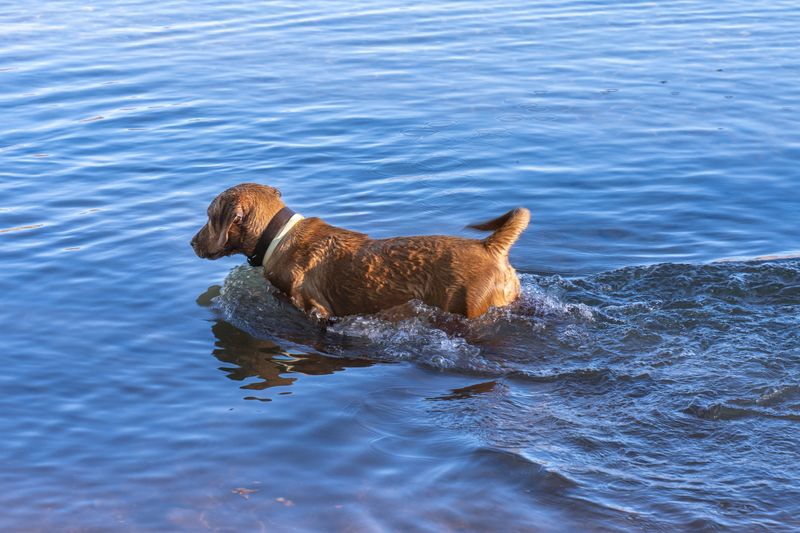 Keen Lake