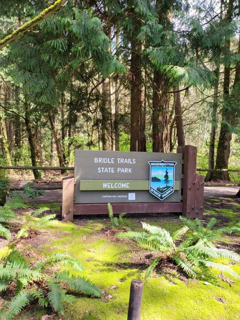 Bridle Trails State Park, Kirkland
