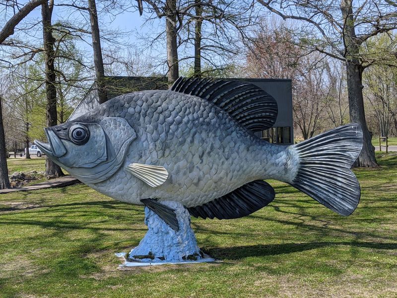 Reelfoot Lake and Northwest Tennessee