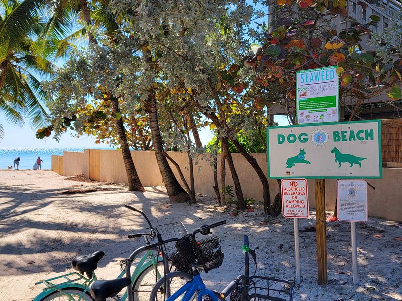 Key West Dog Beach - Key West