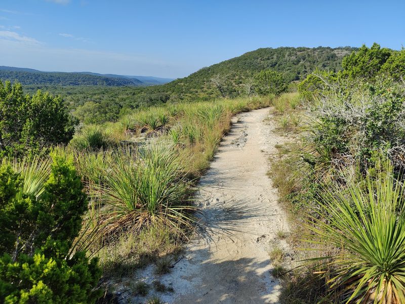 Hill Country State Natural Area, Bandera
