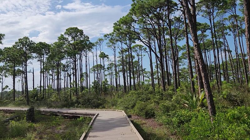 St. George Island Is Made for Long, Relaxed Walks