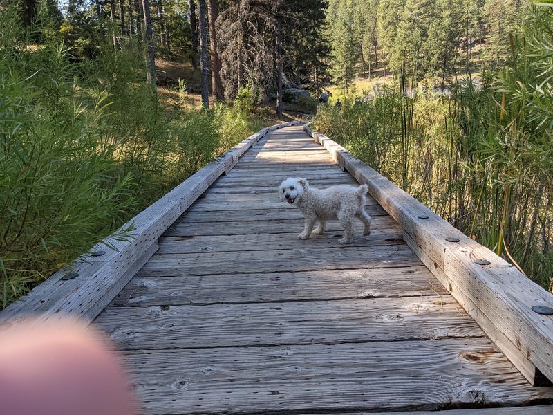 Horsethief Lake Trail #14