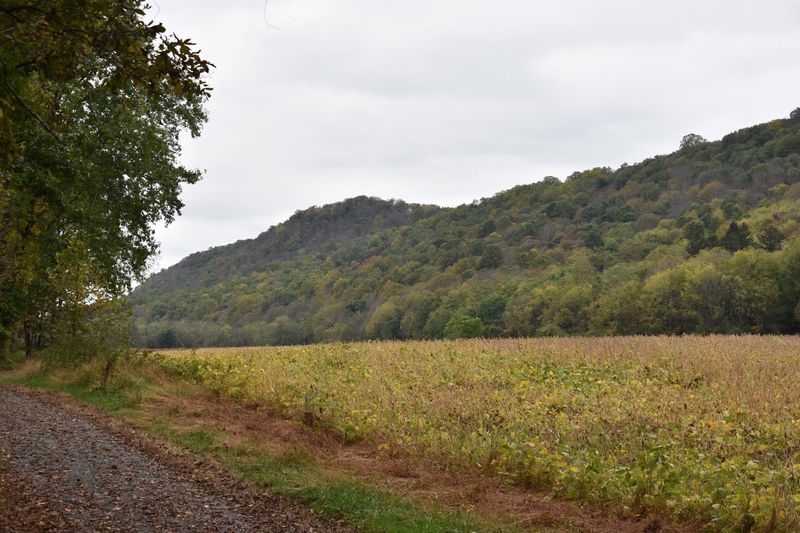McDade Recreational Trail