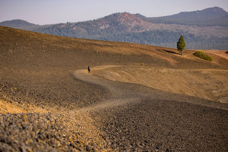 Backcountry Areas Usually Stay Pet Free