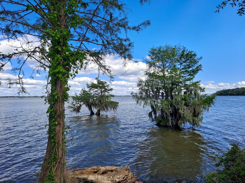 Santee State Park, Santee