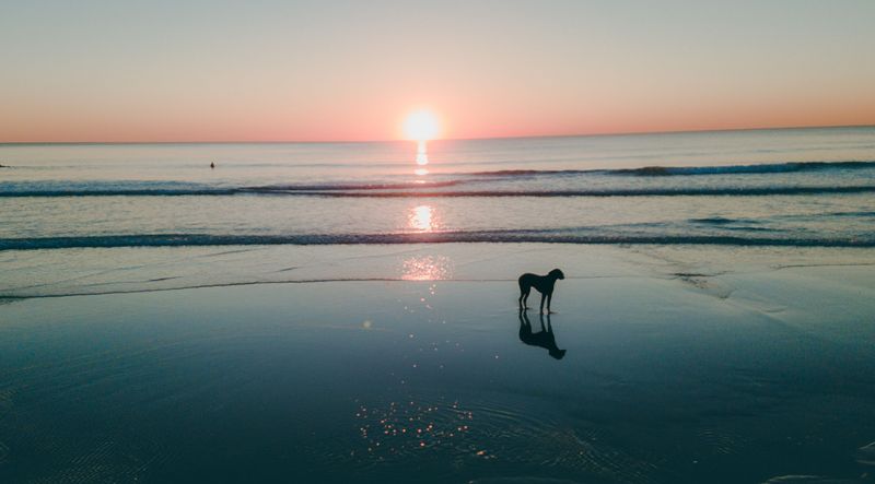 Dewey's Summer Beach Hours Favor Early Risers