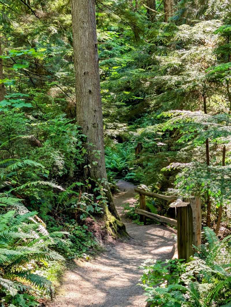 Take a Shaded Walk at Nisqually State Park