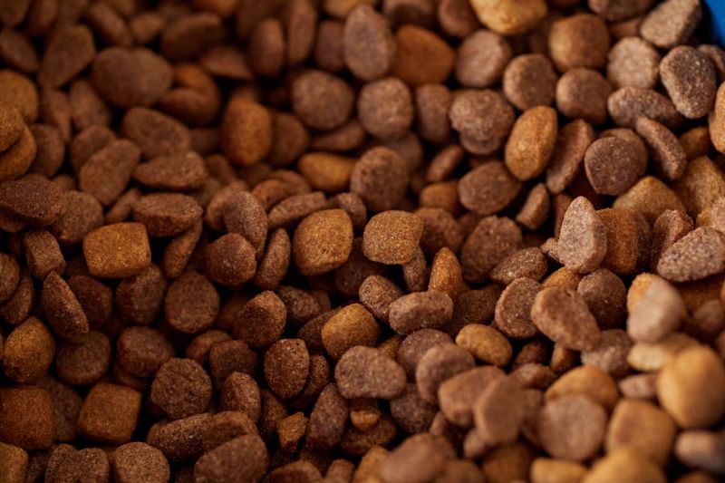 Dog Food Attracts Bears
