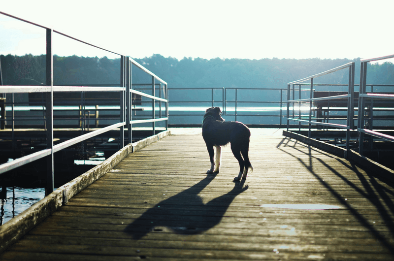 Stay Clear Of Unfamiliar Powered Docks