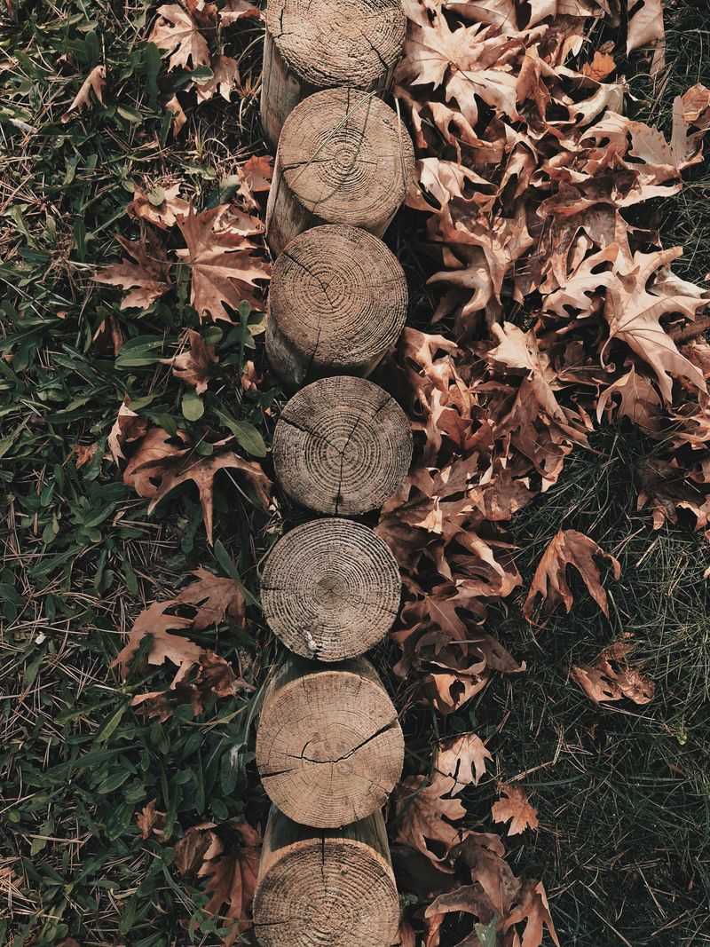 Know Where Copperheads Hide Around Homes