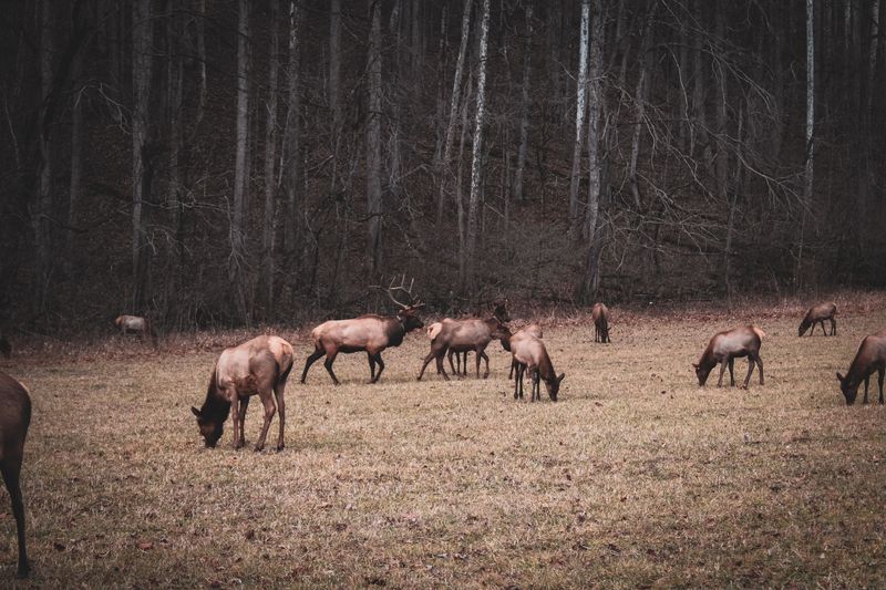 Wildlife changes with the seasons, everywhere