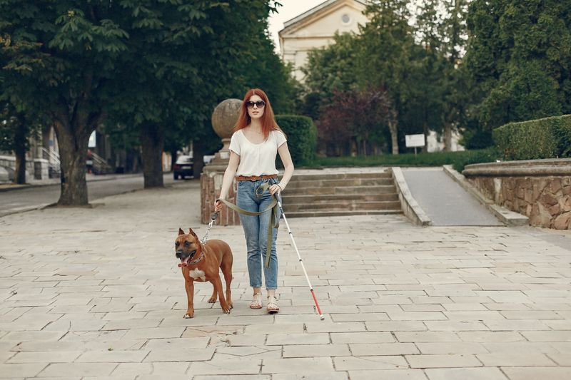 Service Dogs Have Public Access Protections