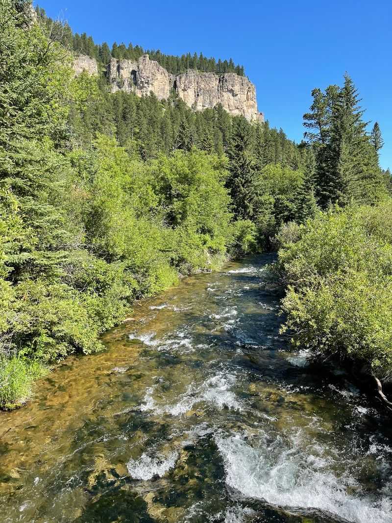 Little Spearfish Trail #80