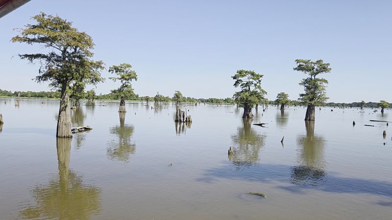 Start The Adventure Along The Atchafalaya Basin