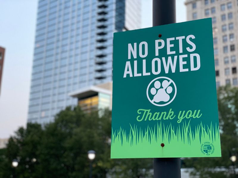Florida State Park Cabins Generally Do Not Allow Dogs