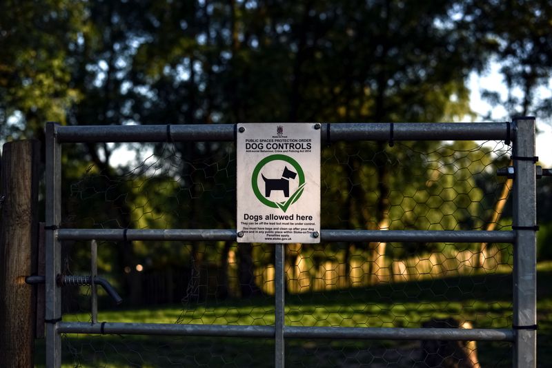 Dog Parks Still Have Rules to Follow