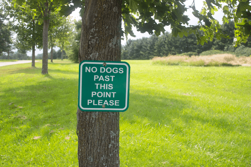 State Parks Can Have Surprisingly Specific Pet Rules