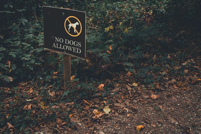 DNR Natural Area Preserves Are Completely Off-Limits for Dogs
