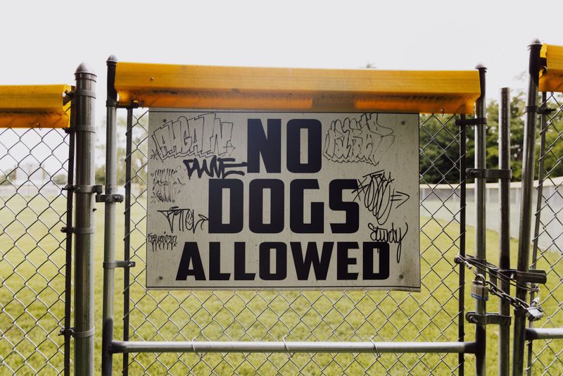 Pet-Friendly Does Not Mean Every Part of a Park Is Dog-Friendly