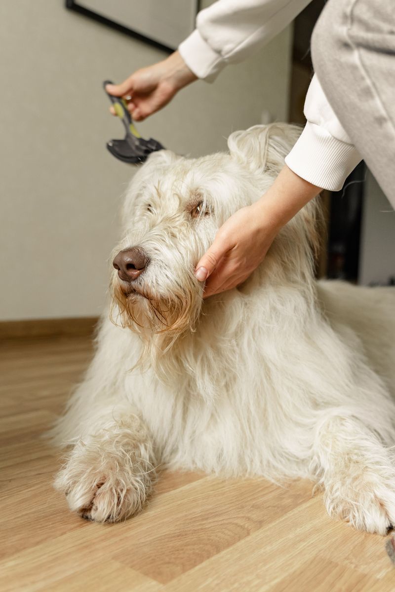 Long Fur Can Hide Plant Debris