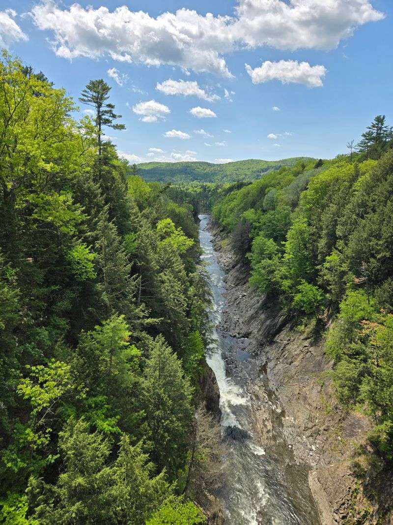 Explore the Quechee Area With Your Pup