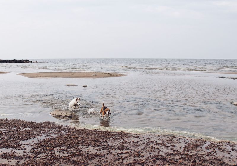St. Ignace