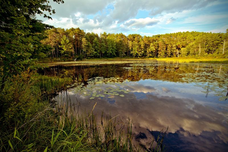 Otter River State Forest, Baldwinville