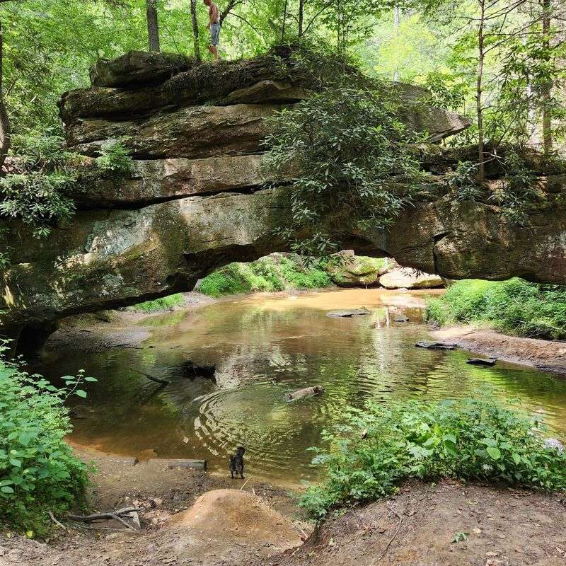 Creation Falls Trail