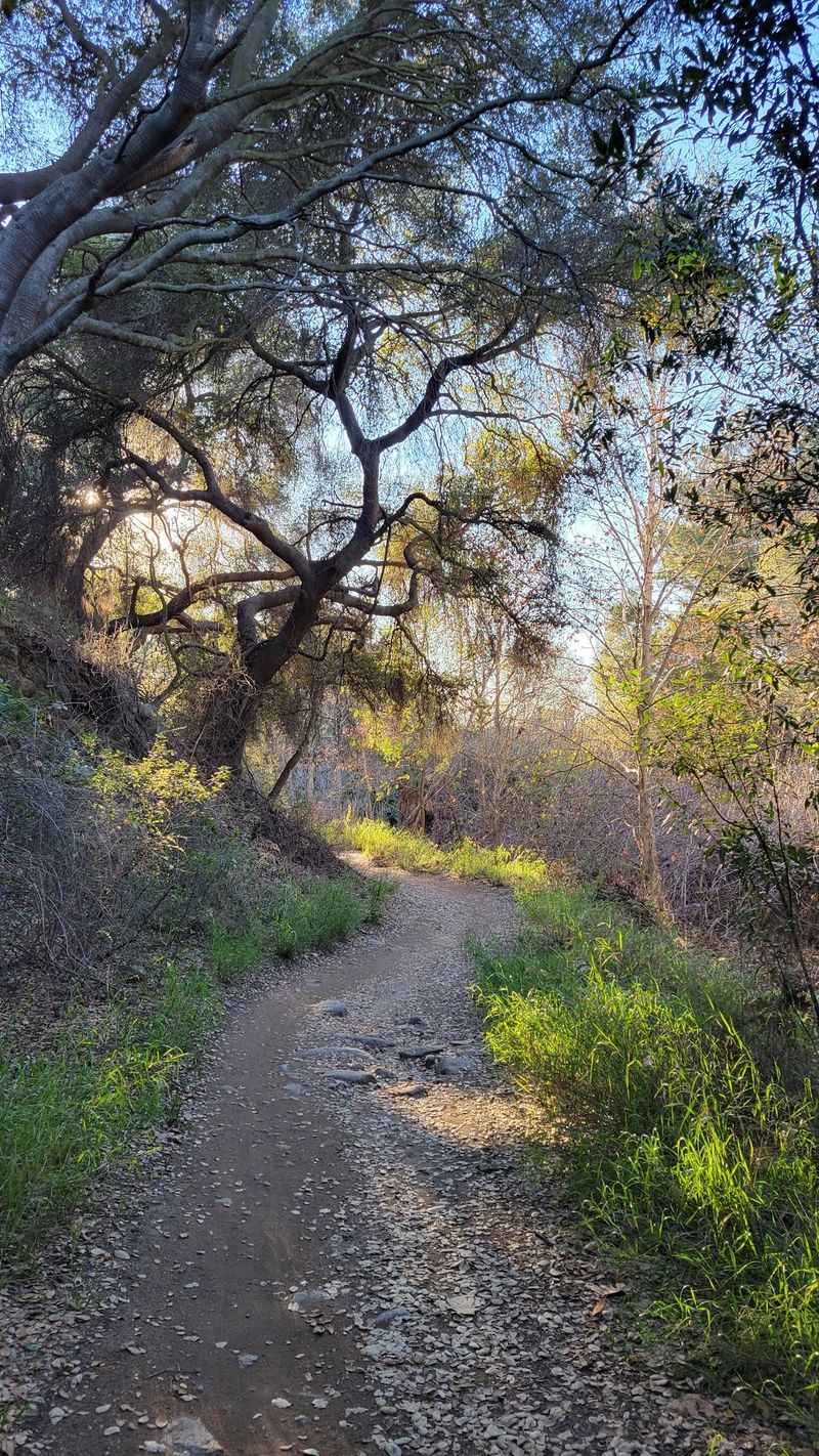 Marshall Canyon Trail, La Verne