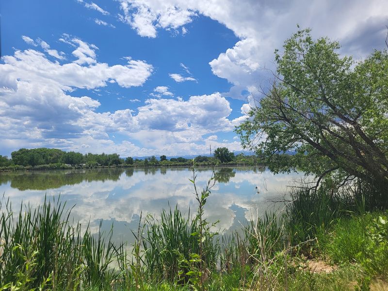 Pond Paths at St. Vrain