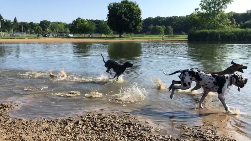 Bow Wow Beach - Stow