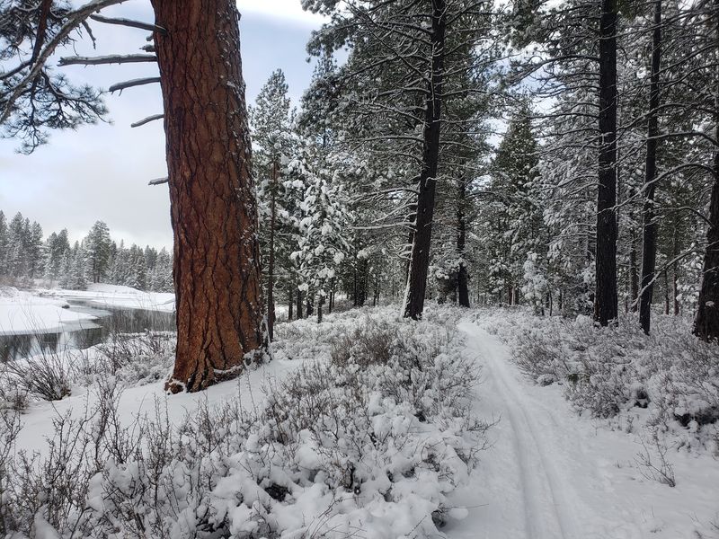 Snowshoe or Stroll LaPine State Park