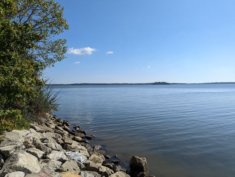 Hammerman Beach Pauses Dog Access Each Summer