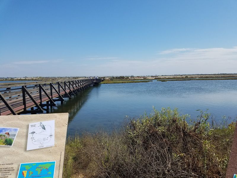 Bolsa Chica Ecological Reserve