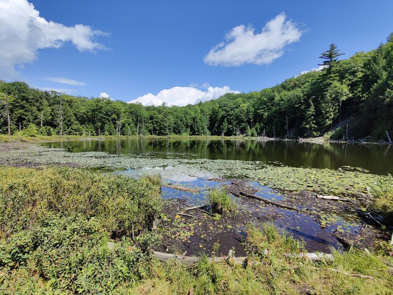 Half Moon Pond State Park