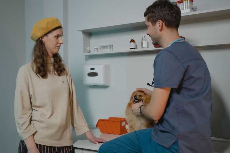 Get Your Dog to a Vet Right Away