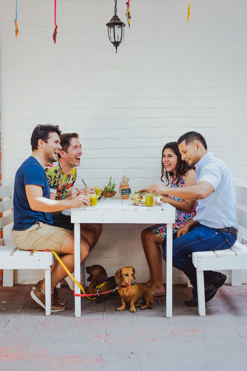 Restaurants Can Set Rules for Pet-Friendly Areas