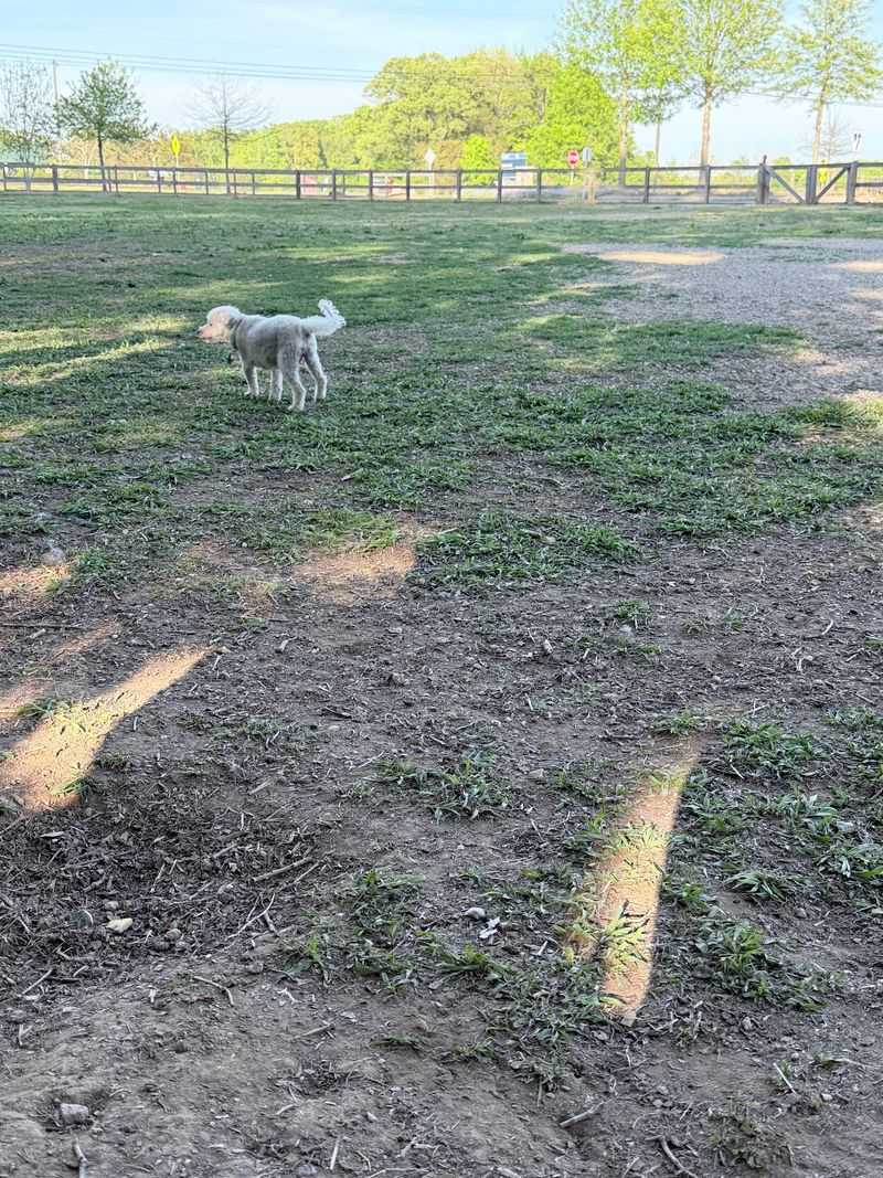 Clarks Creek Dog Park, Charlotte