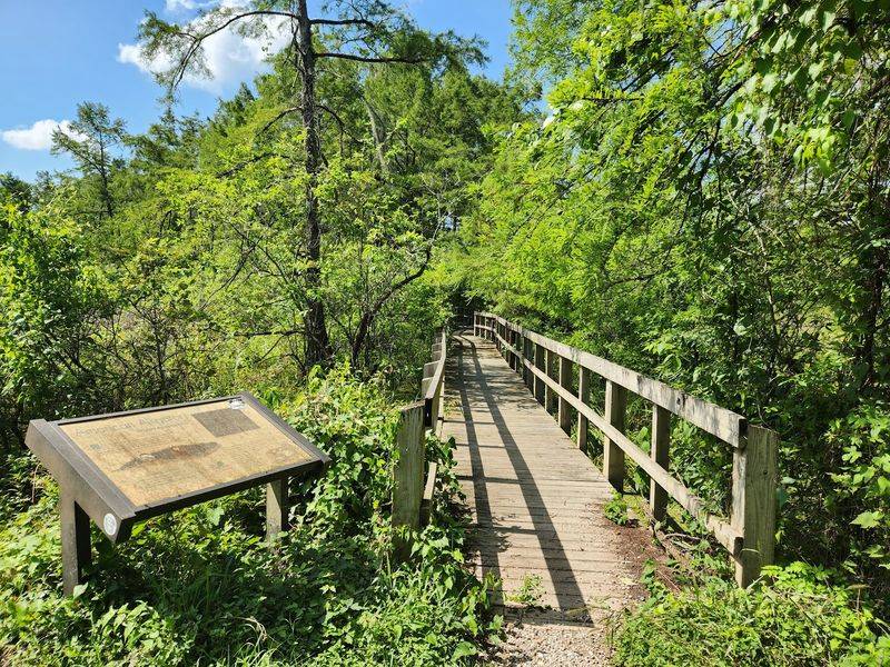 Visit The Trails At Lake Martin