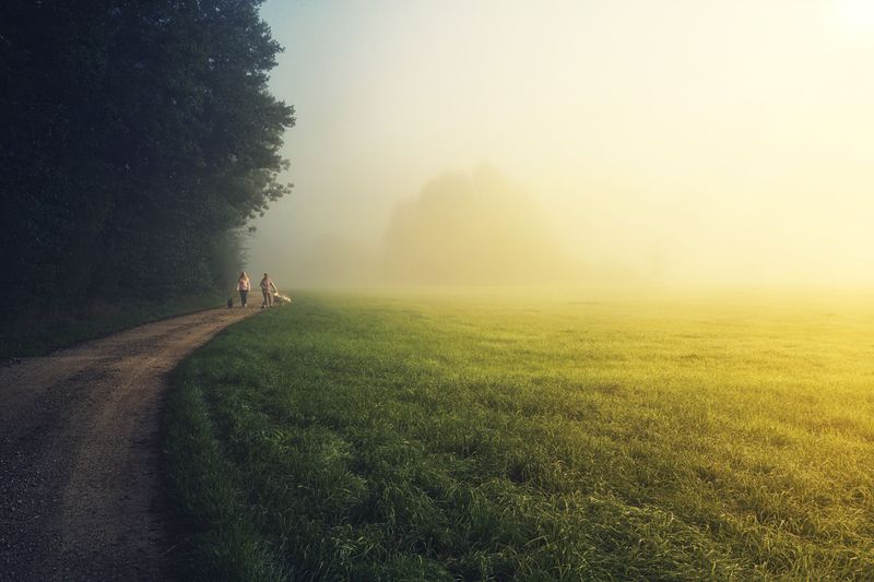 Dew Point Adds A Layer To Your Planning
